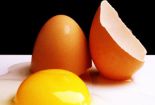 Trẻ ăn lòng đỏ trứng có thể tăng cường trí nhớ