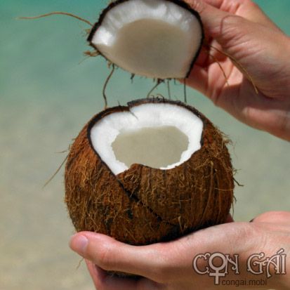 Nước dừa – thức uống mát, bổ, thơm, ngon 